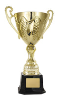 Bordeaux Cup