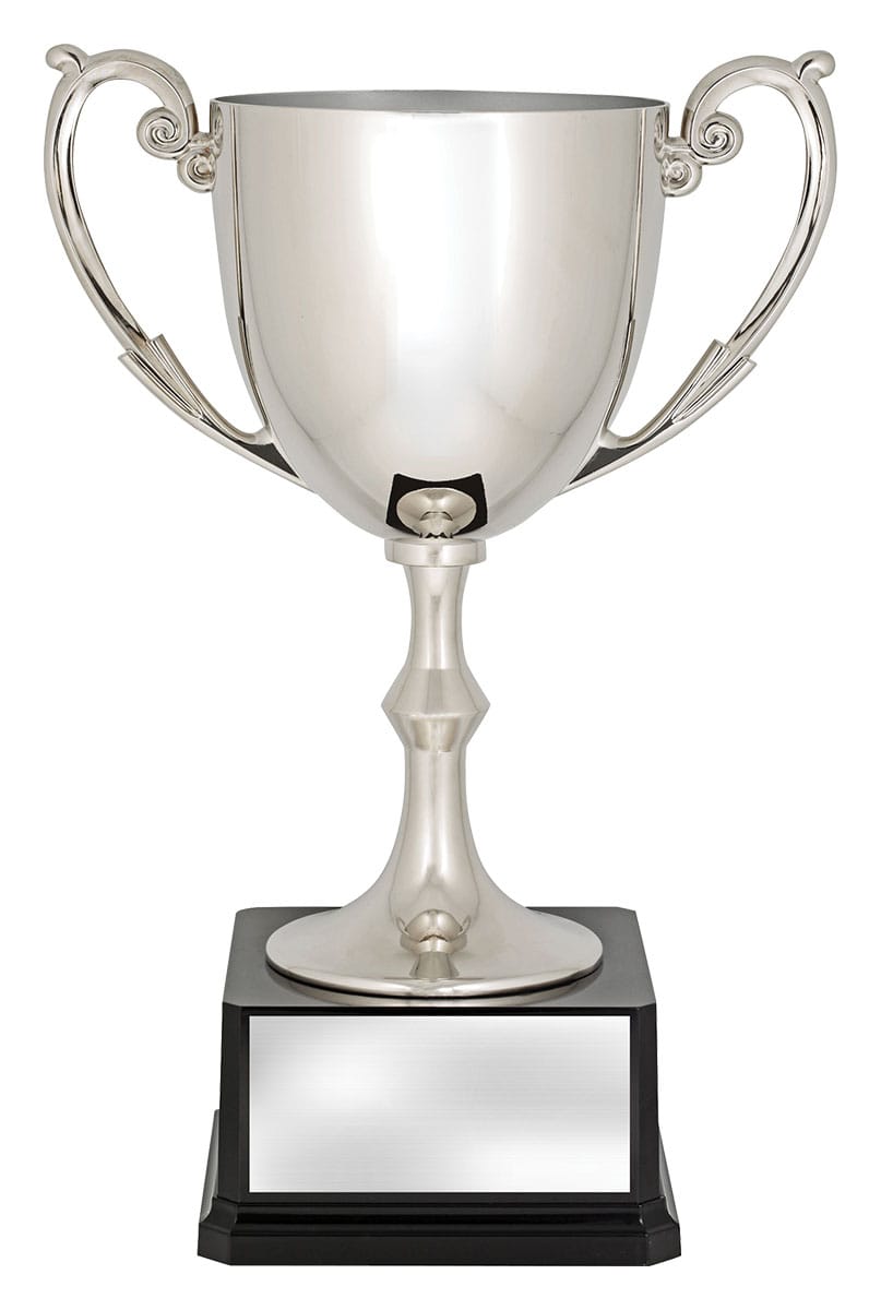 Recognition Cups