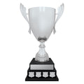 Stadium Cup Perpetual