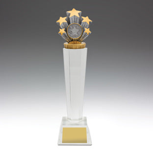 Stars Crystal Award