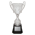 Cruiser Cup - Silver