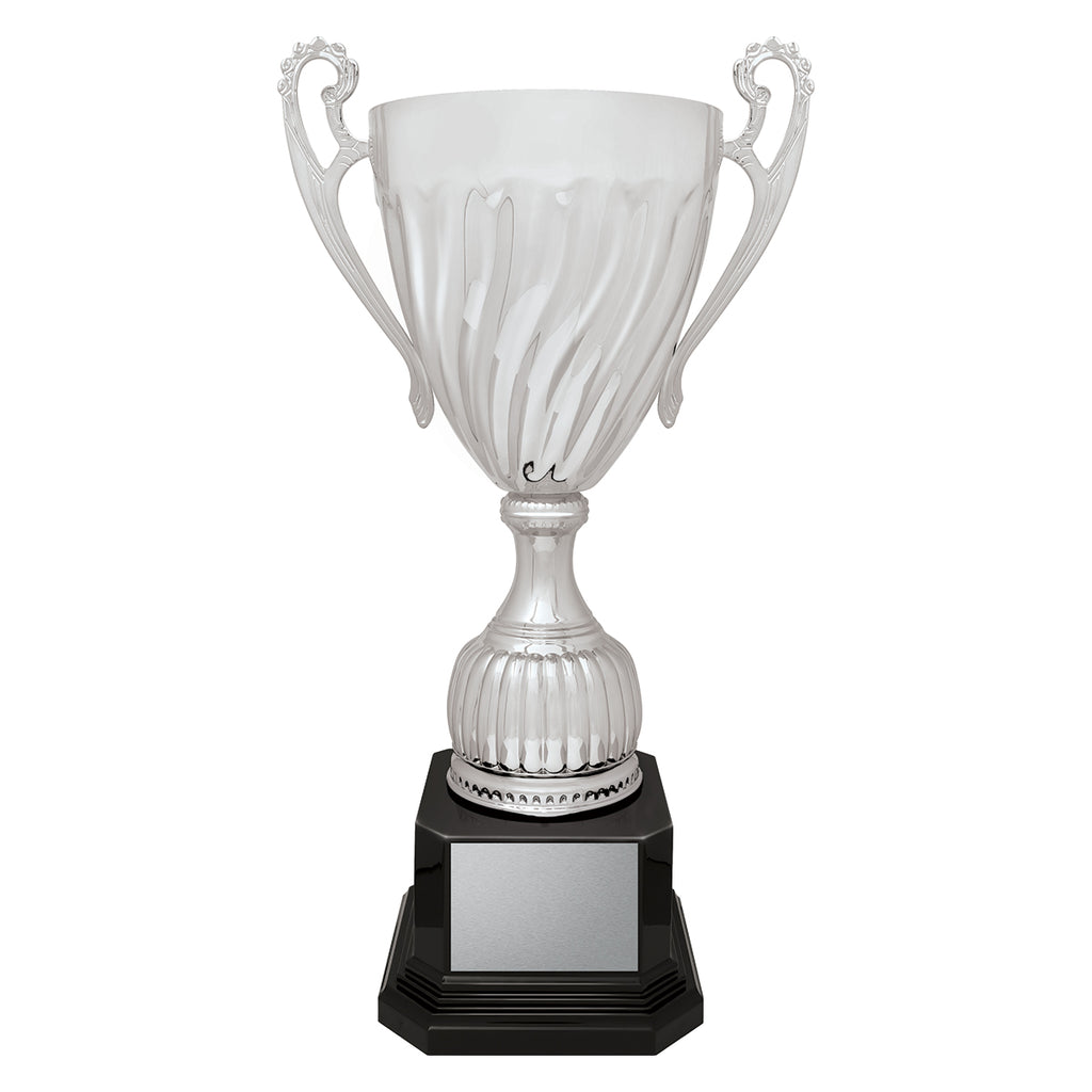 Cruiser Cup - Silver