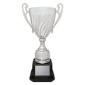 Cruiser Cup - Silver