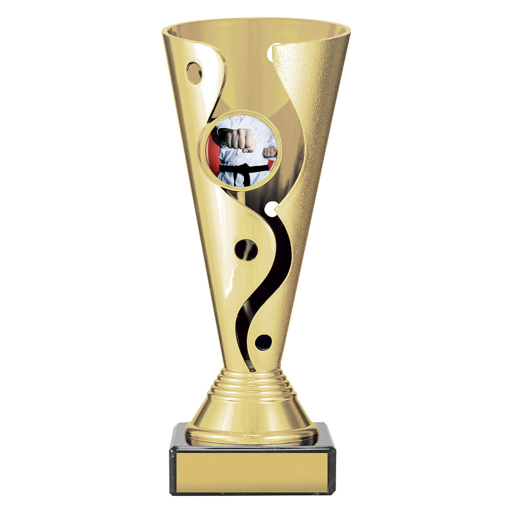 Martial Arts Aspire Carnival Cup