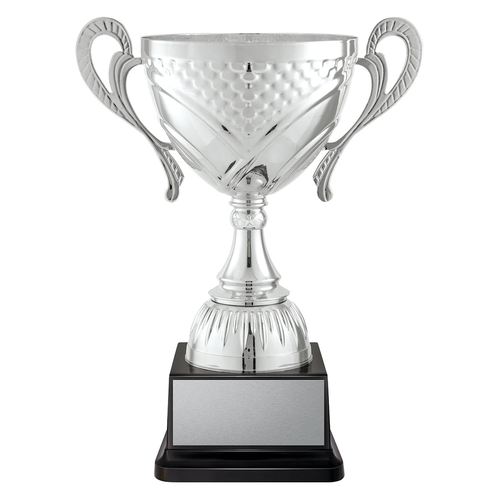 Welcome Cup - Silver