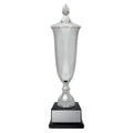 Arsenal Cup