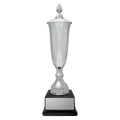 Arsenal Cup