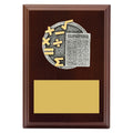 Peak Plaque Maths