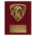Nova Plaque - Martial Arts