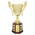 Ensign Cup