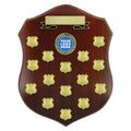 Telegraph Shield