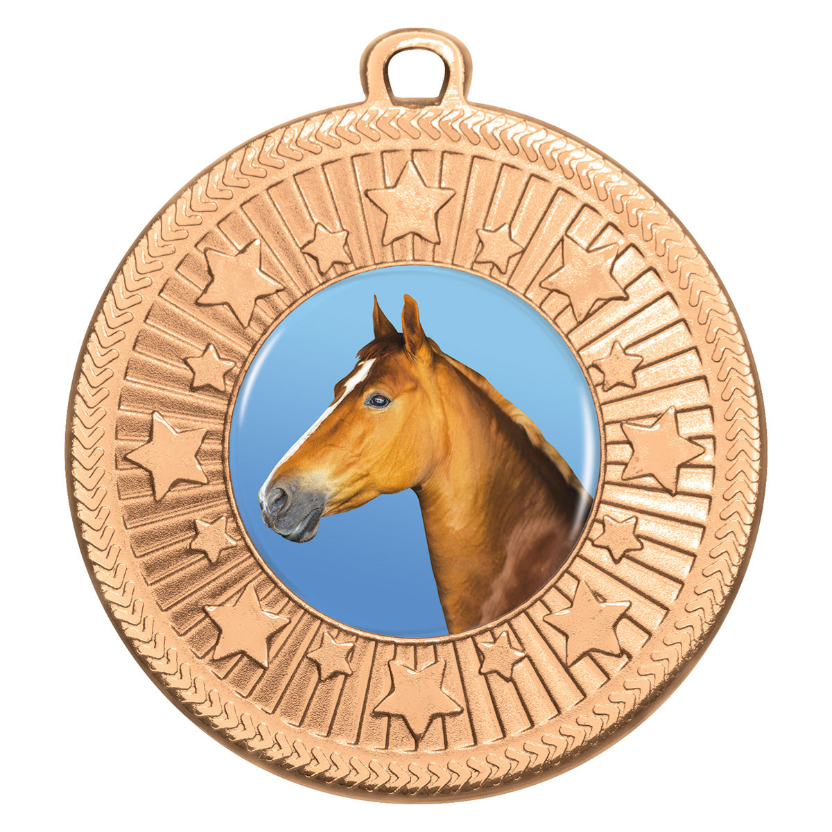 Horse - Starlight - Bronze