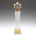 Stars Crystal Award