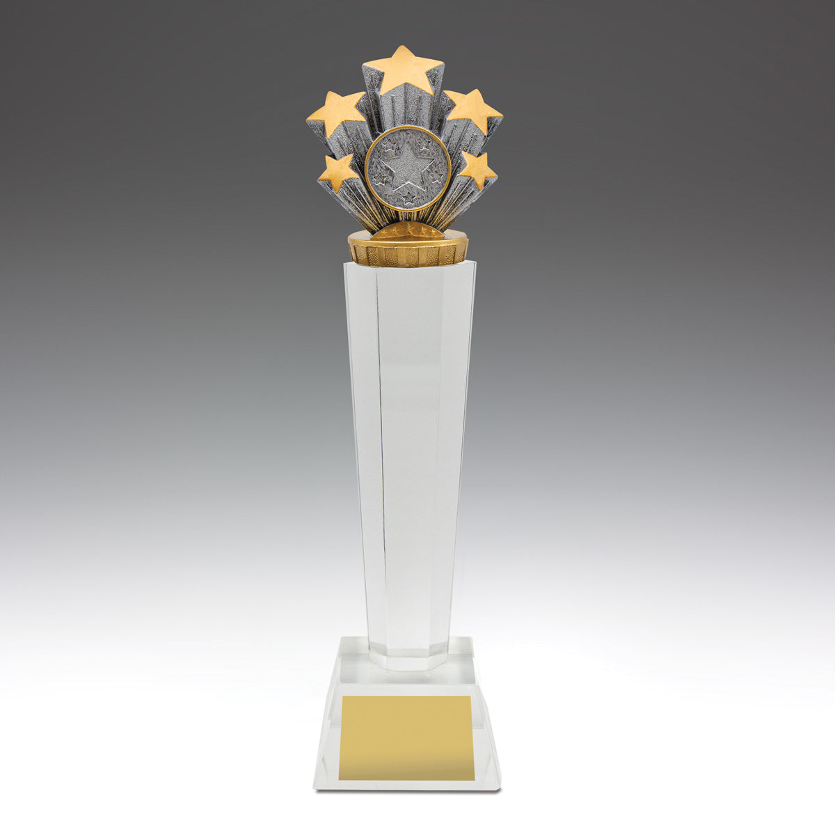Stars Crystal Award